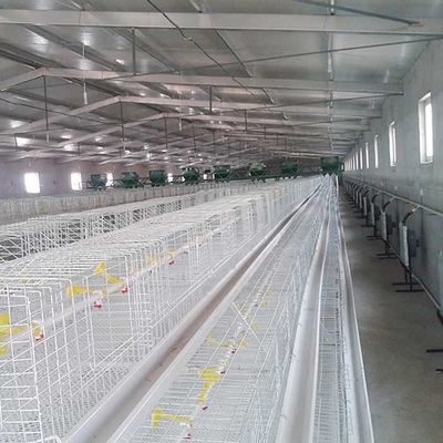 High Efficiency Broiler Chicken Cage Long Lifespan Environmental Friendly