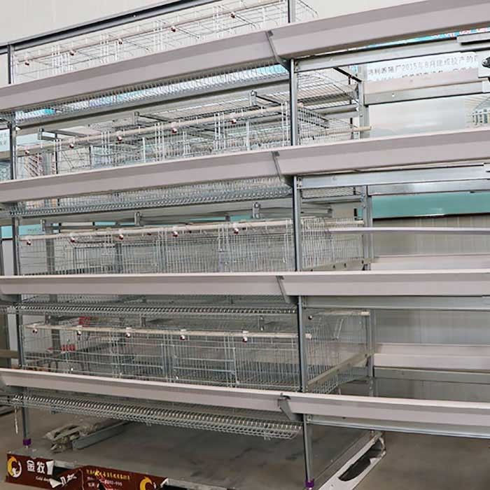 Adjusting Automatic Battery Cage System , Enriched Wire Steel Cage For Chicken