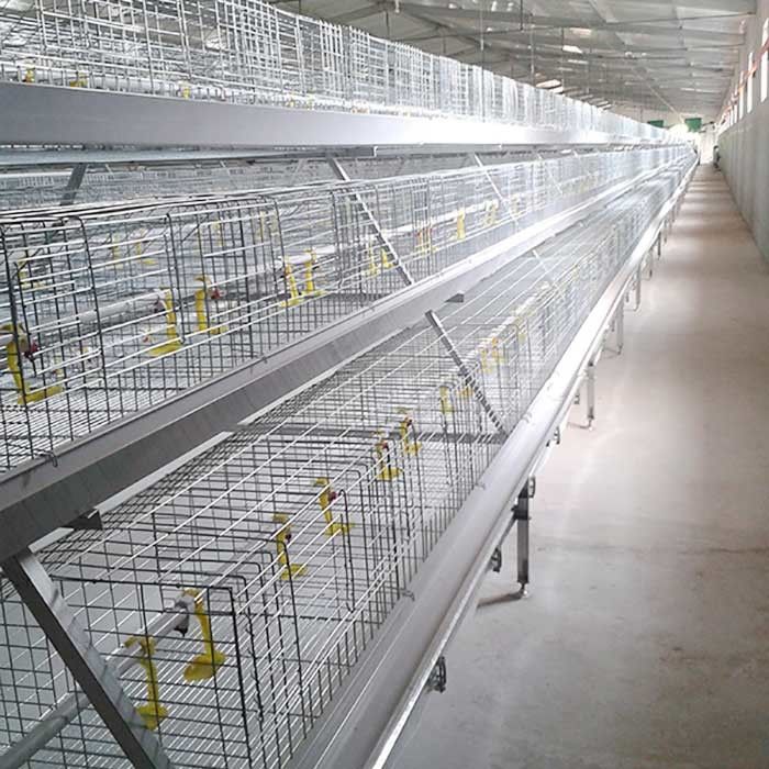 Less Respiratory Diseases Broiler Chicken Cage Labor / Space Saving Silver Color