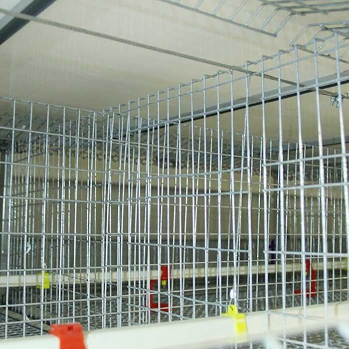 High Efficiency Baby Chick Cage Large Capacity Easy To Clean ISO9001 Approval